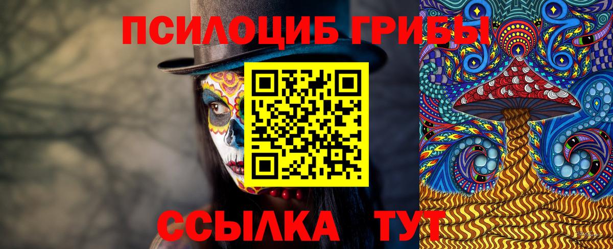 Галлюциногенные грибы Psilocybe Спасск-Дальний